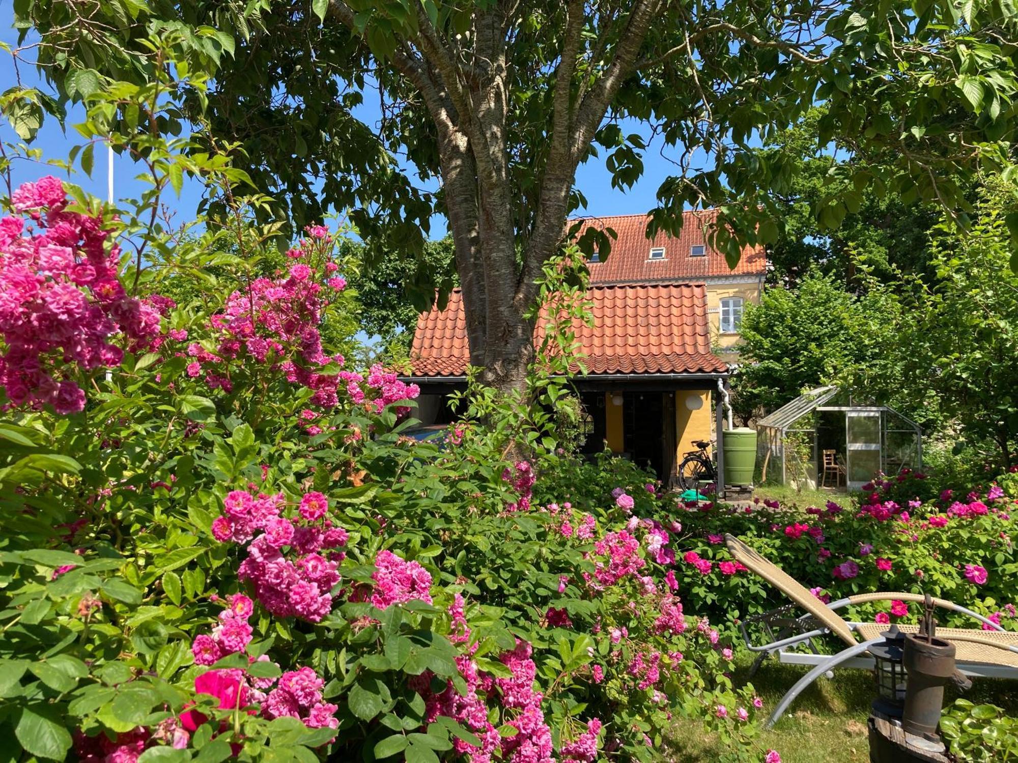 Den Gamle Skomager Hytte Ved Slotssoen Гростен Экстерьер фото